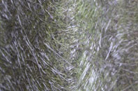 Alnwick fibreglass roof work